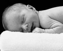 Lepnais opītis Guntis Ulmanis